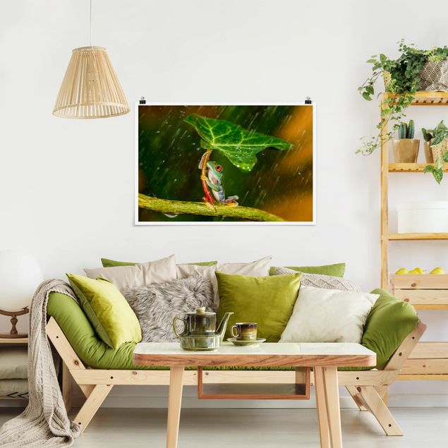 Animal canvas Frog In The Rain
