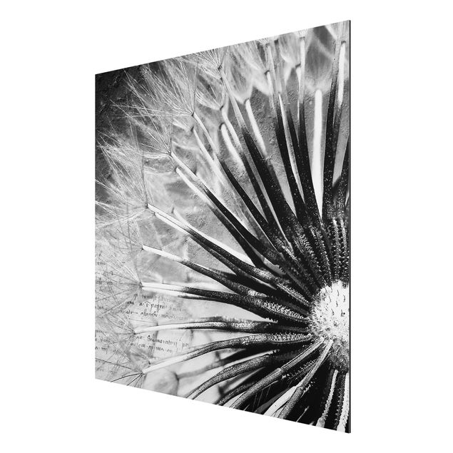 Flower print Dandelion Black & White
