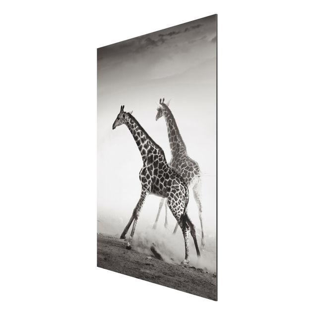 Animal wall art Giraffe Hunt