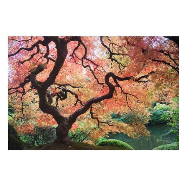 Landscape canvas prints Japanese Garden