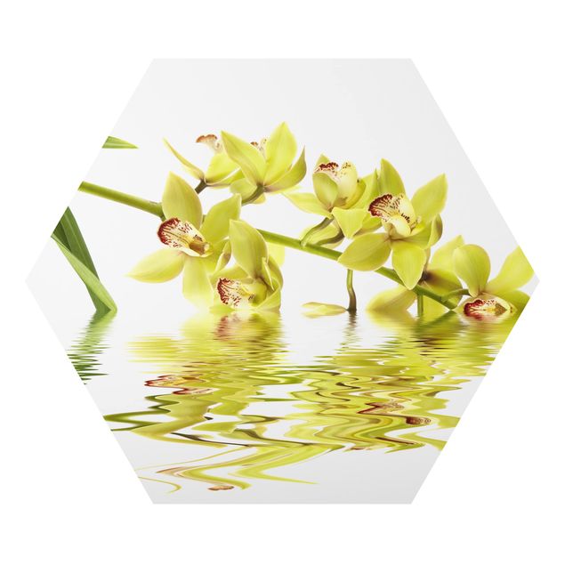 Prints modern Elegant Orchid Waters