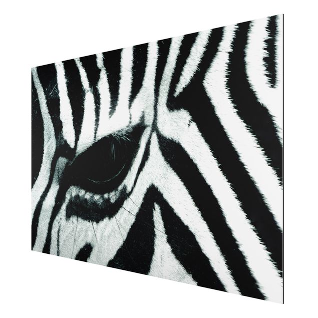Prints animals Zebra Crossing