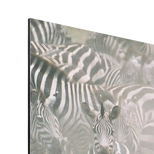 Prints africa Zebra Herd