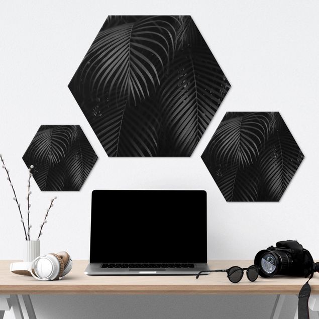 Hexagonal prints Black Palm Fronds