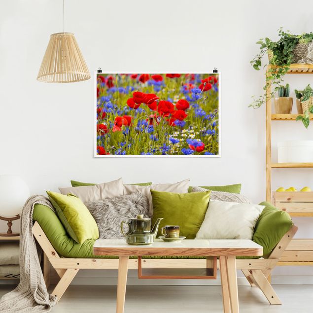 Poppy print Summer Meadow With Poppies And Cornflowers
