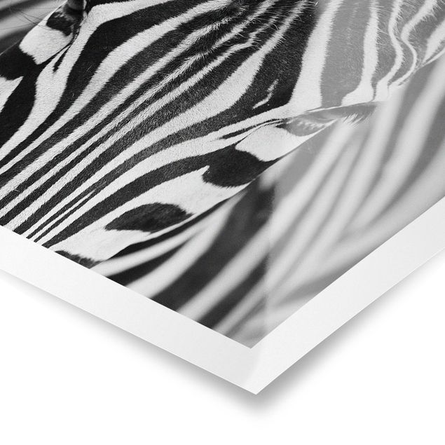 Prints black and white Zebra Look