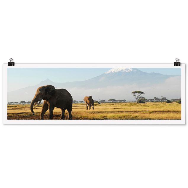 Mountain art prints Elephants In Front Of The Kilimanjaro In Kenya