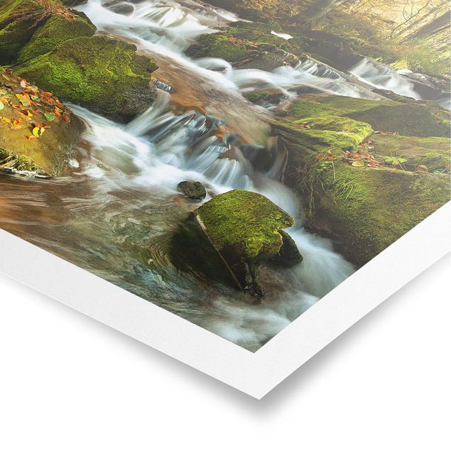 Prints modern Waterfall Autumnal Forest