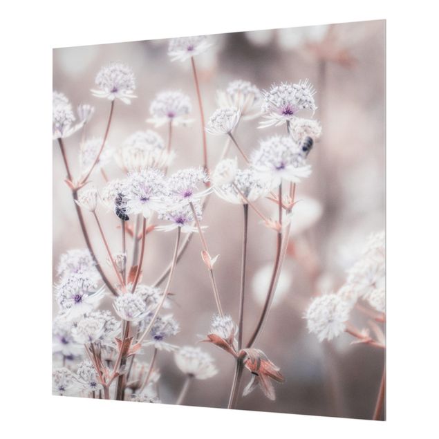 Splashback - Wild Flowers Light As A Feather - Square 1:1