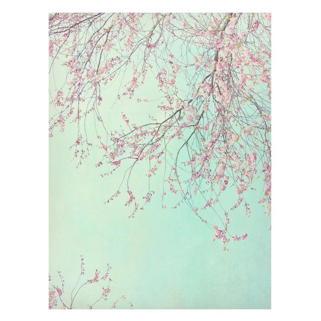 Magnet boards flower Cherry Blossom Yearning