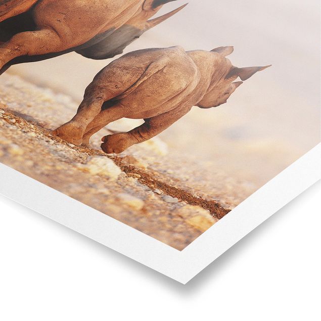 Prints Wandering Rhinos