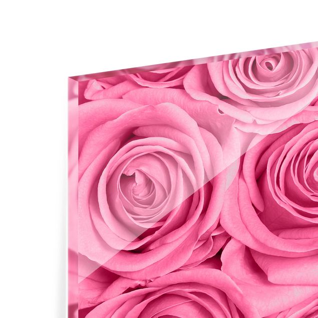 Glass Splashback - Pink Roses - Panoramic
