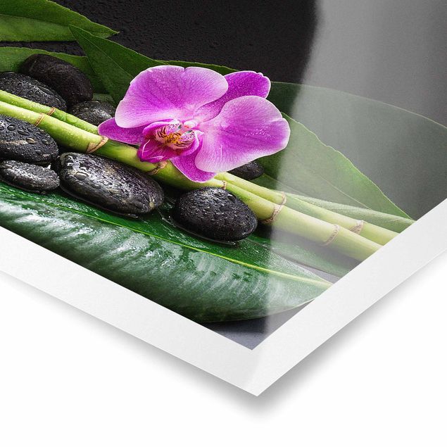Prints floral Green Bamboo With Orchid Flower