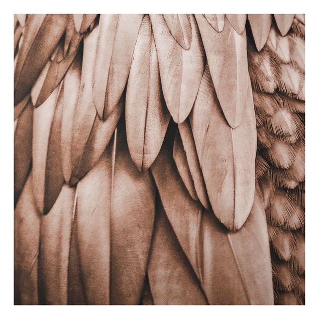 Prints modern Feathers In Rosegold