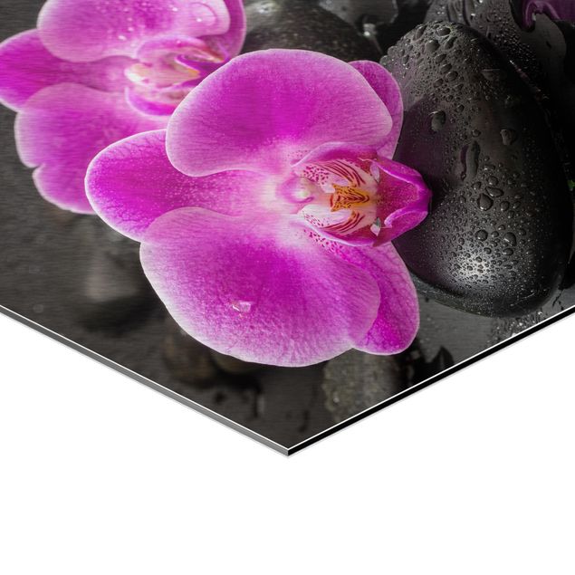 Prints Pink Orchid Flower On Stones With Drops