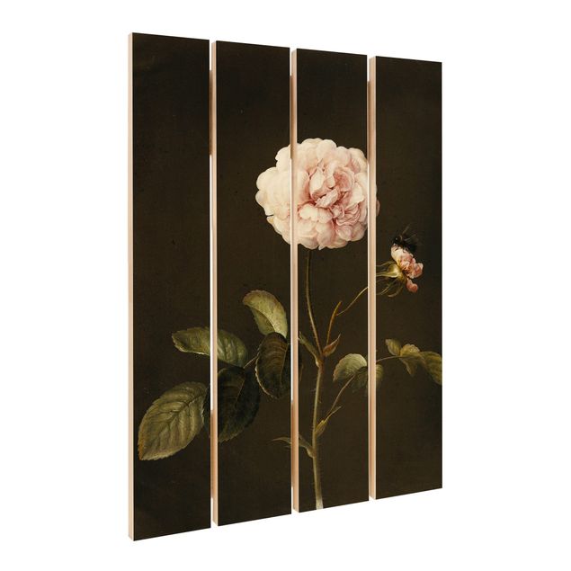 Prints Barbara Regina Dietzsch - French Rose With Bumblbee
