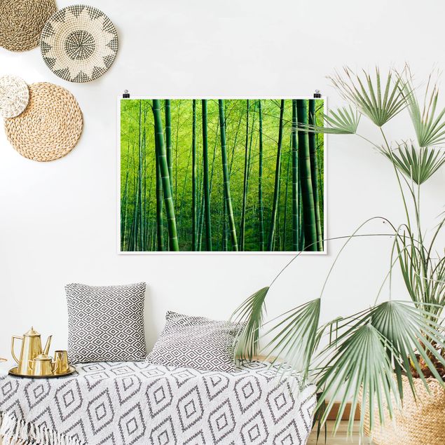 Prints landscape Bamboo Forest
