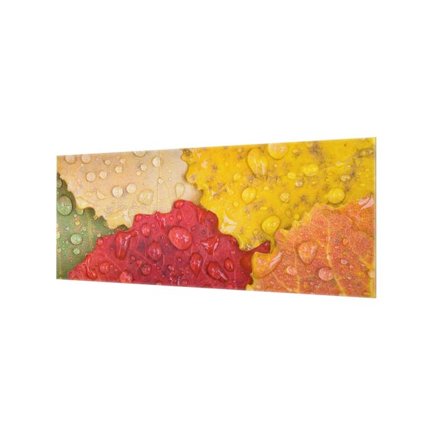 Glass Splashback - Water Drops On Colorful Leaves - Panoramic