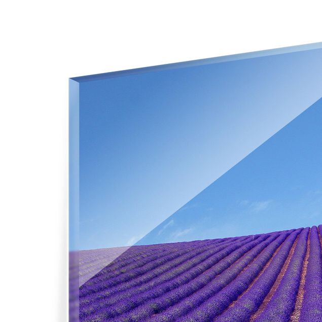 Glass Splashback - Lavender Fragrance In Provence - Landscape 2:3
