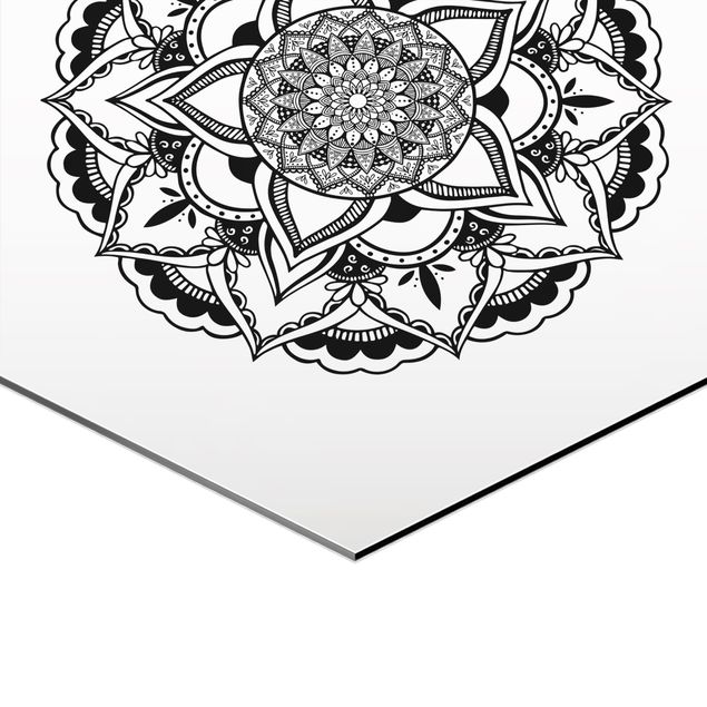 Hexagon shape pictures Mandala Flower Sun Illustration Set Black And White