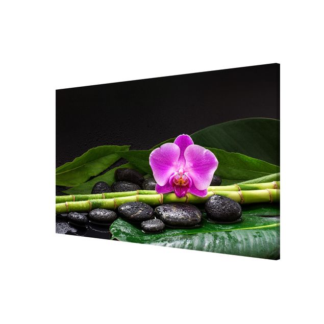 Orchid canvas Green Bamboo With Orchid Flower