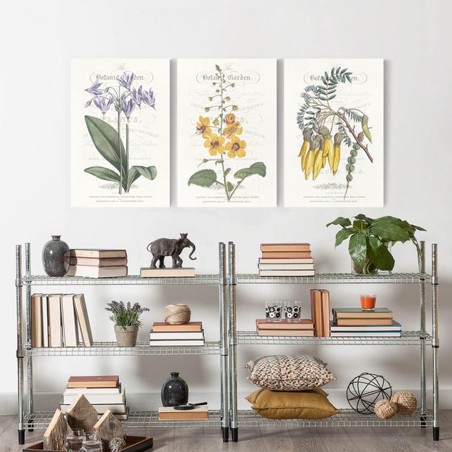 Prints floral Botanical Tableau Set I
