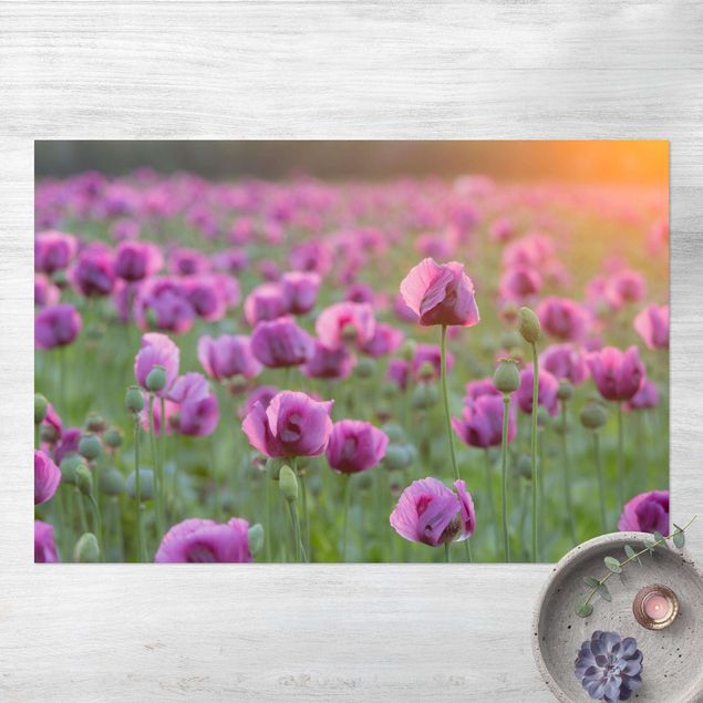outdoor mat Purple Poppy Flower Meadow In Spring