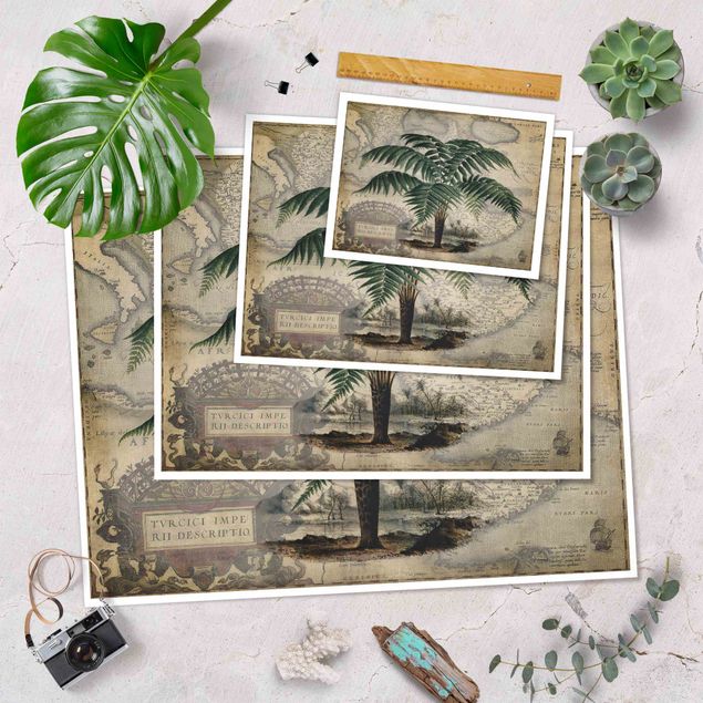 Prints Vintage Collage - Palm And World Map