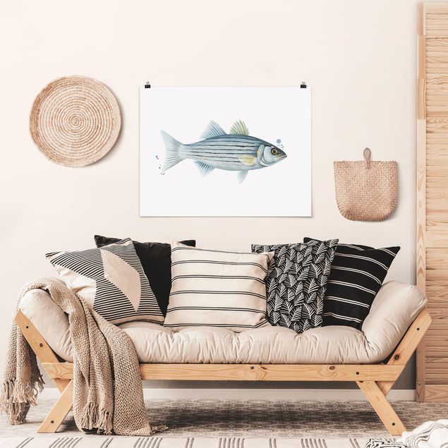 Prints fishes Color Catch - White Perch