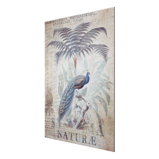 Prints vintage Shabby Chic Collage - Peacock