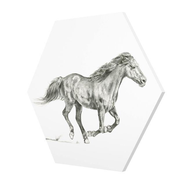 Black and white wall art Wild Horse Trial - Mare