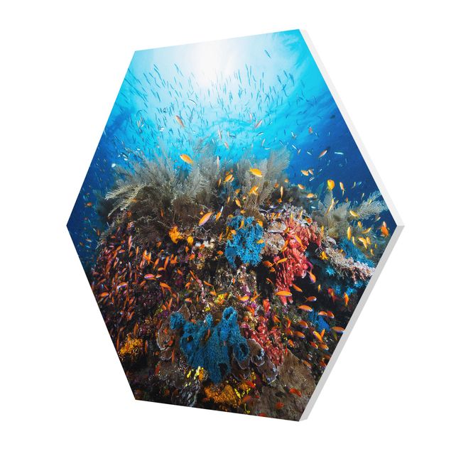 Nature art prints Lagoon Underwater