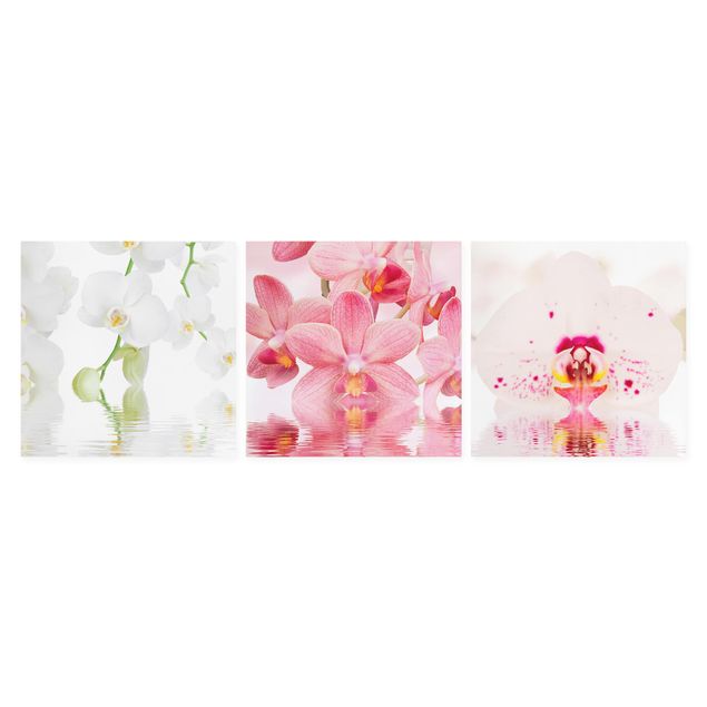 Prints modern Orchids On Water