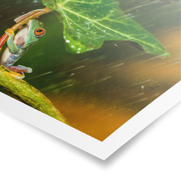 Green art prints Frog In The Rain