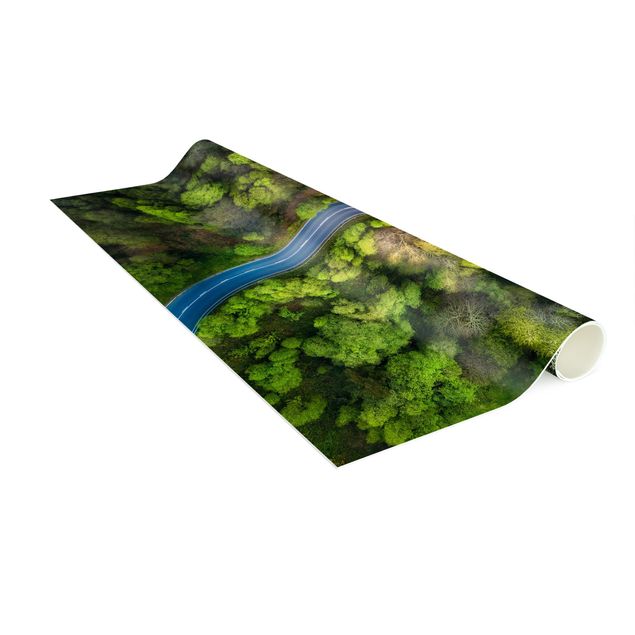 Modern rugs Aerial Image - Paved Road In the Forest