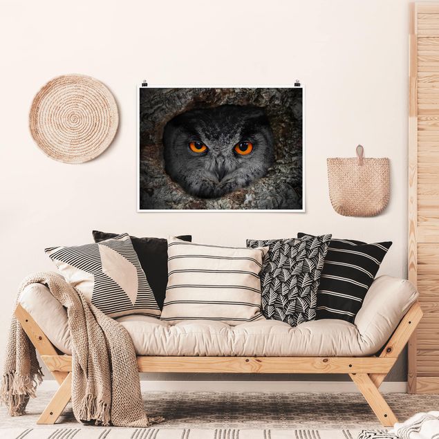 Animal wall art Watching Owl