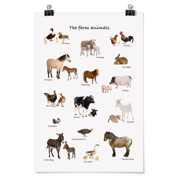 Framed quotes Farm Animals