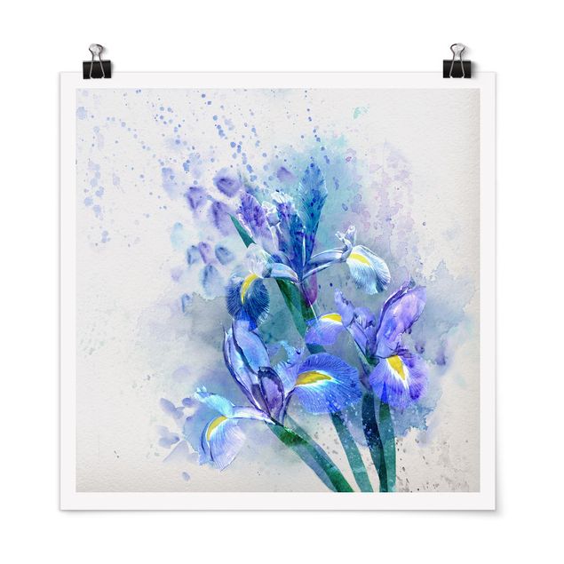 Floral prints Watercolour Flowers Iris