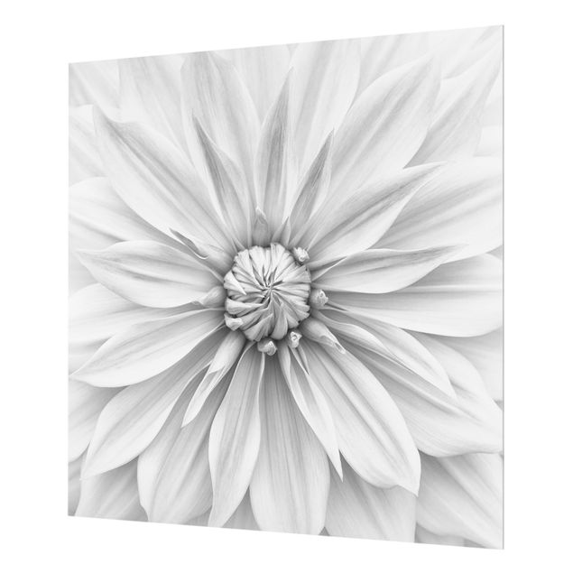 Splashback - Botanical Blossom In White - Square 1:1