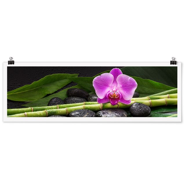 Canvas art Green Bamboo With Orchid Flower