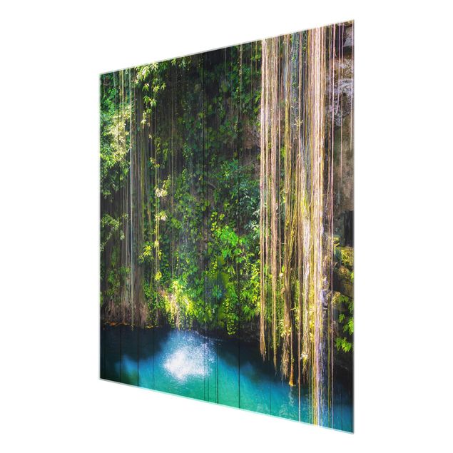 Prints landscape Hanging Roots Of Ik-Kil Cenote