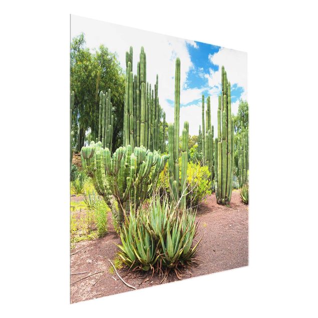 Kitchen Cactus Landscape