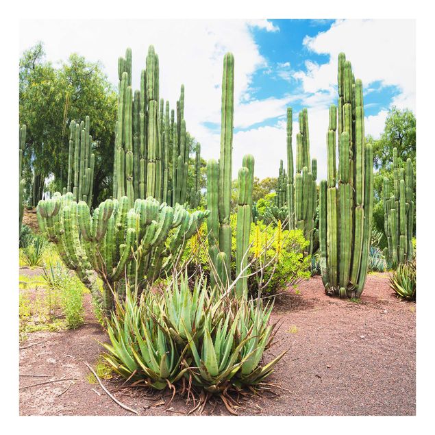 Prints landscape Cactus Landscape