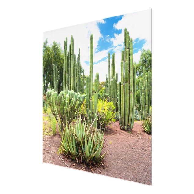 Glass prints flower Cactus Landscape