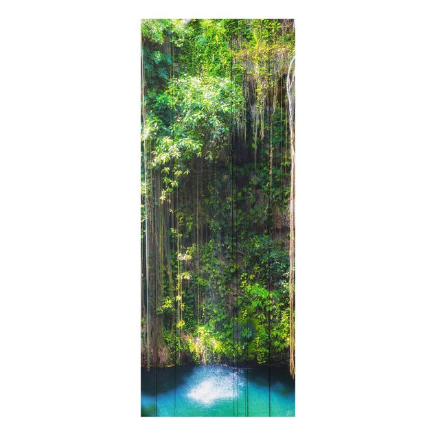 Glass prints waterfall Hanging Roots Of Ik-Kil Cenote
