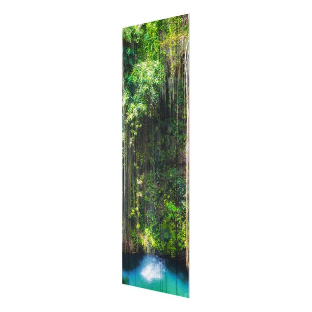 Prints landscape Hanging Roots Of Ik-Kil Cenote