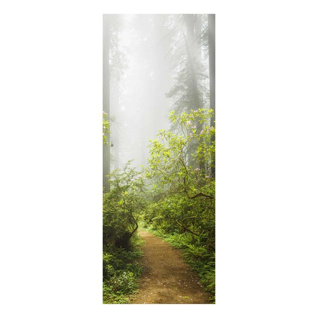 Contemporary art prints Misty Forest Path