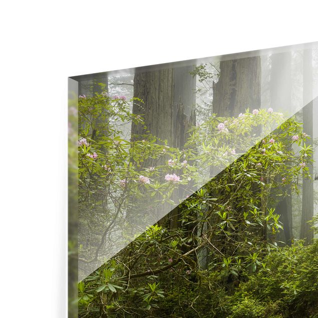 Green canvas wall art Misty Forest Path