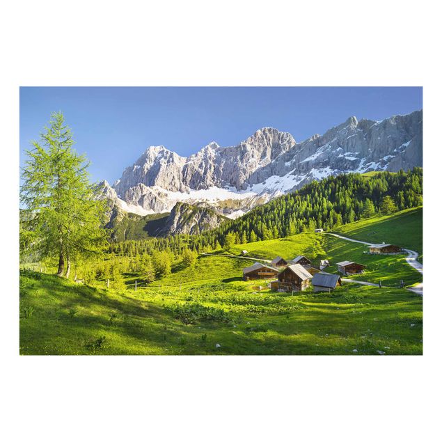 Glass prints landscape Styria Alpine Meadow