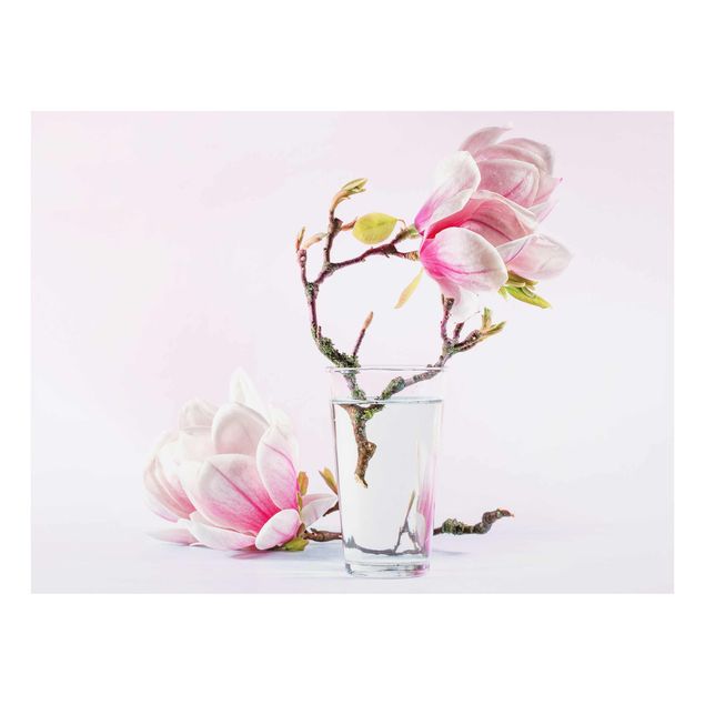 Prints Magnolia In A Glass